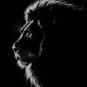 behzad.t